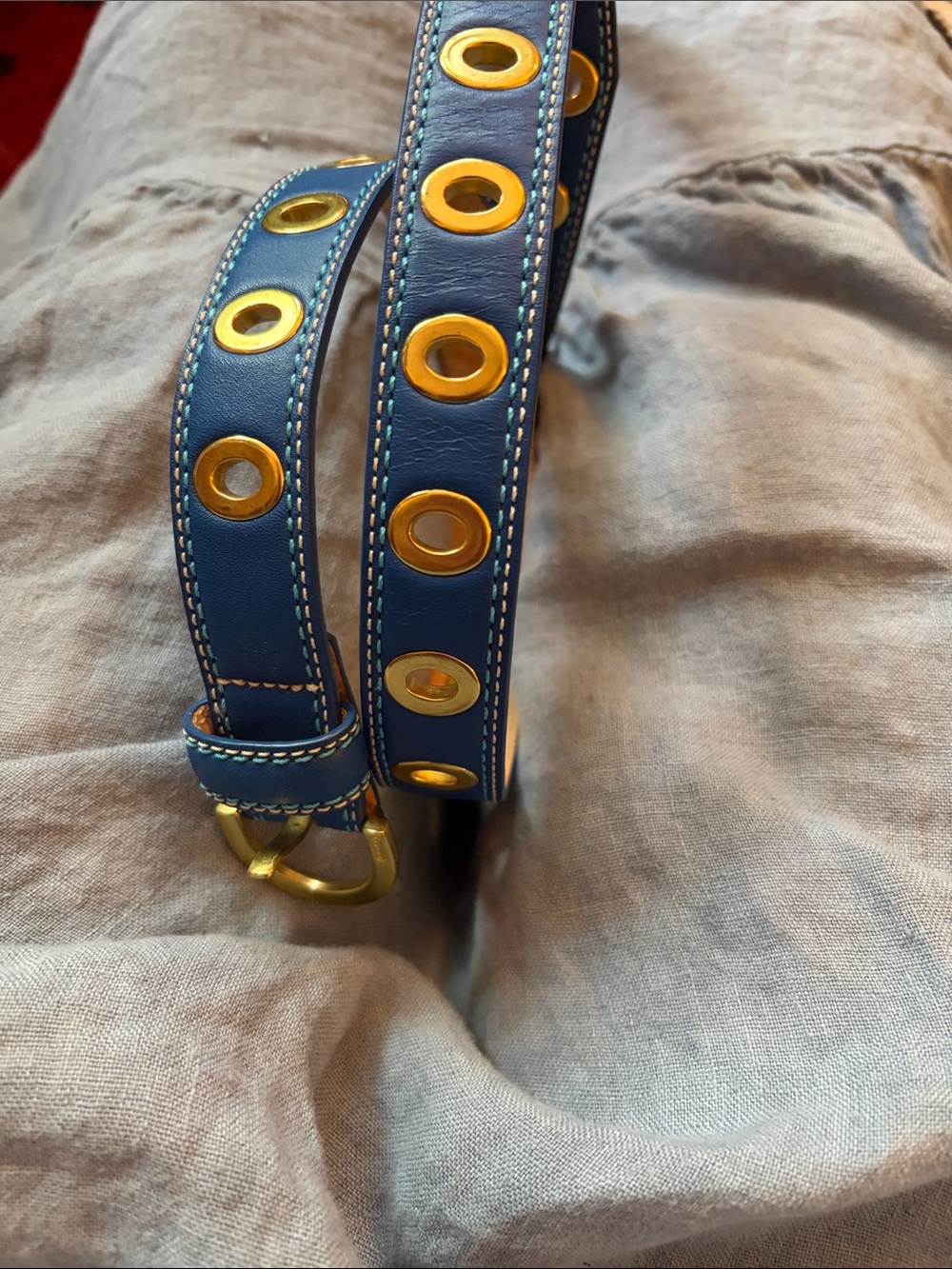 Blue Grommet Detail Women’s Coach Leather Belt